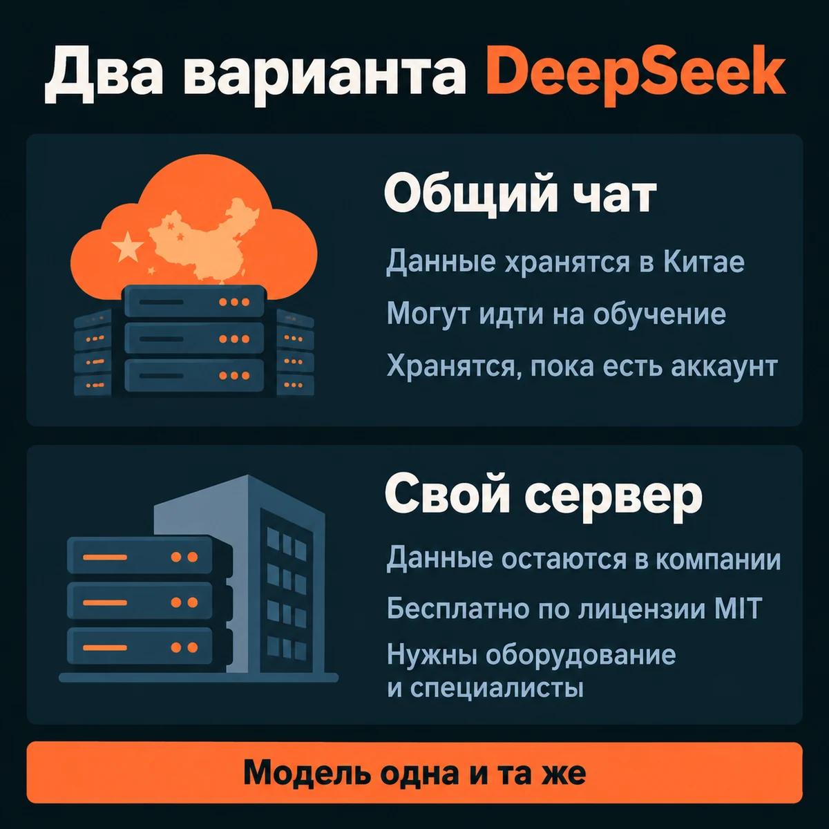 Схема: два варианта DeepSeek, общий чат и свой сервер, где хранятся данные и что нужно для своей установки